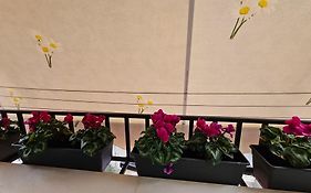 City Center Apartment